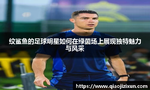纹鲨鱼的足球明星如何在绿茵场上展现独特魅力与风采